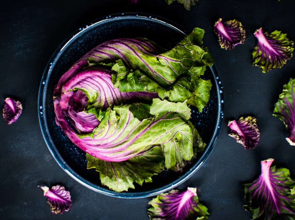 purple lettuce in a blue bowl